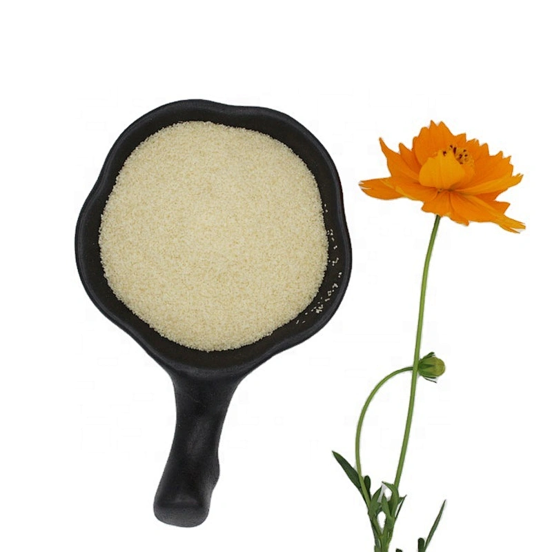 High quality 120 Bloom -300 Bloom halal edible gelatin powder for cake candy